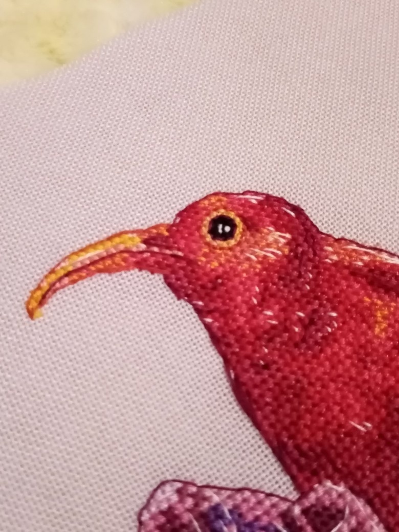Heart Sunbird Cross Stitch Pattern фото 13