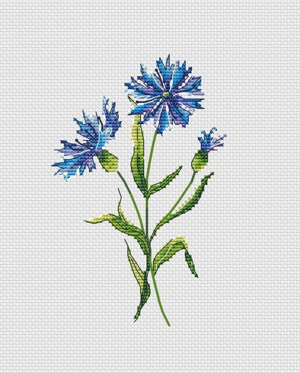 A Cornflower Cross Stitch Pattern фото 2
