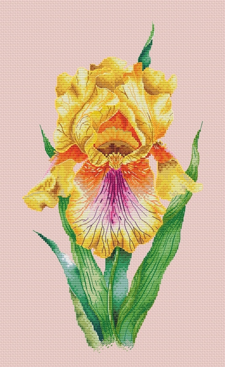 Yellow Iris Cross Stitch Pattern фото 5