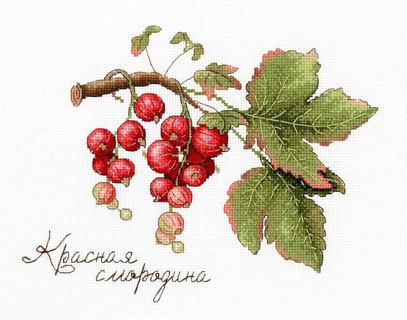 Gifts of Nature. Red Currant Cross Stitch Kit фото 1
