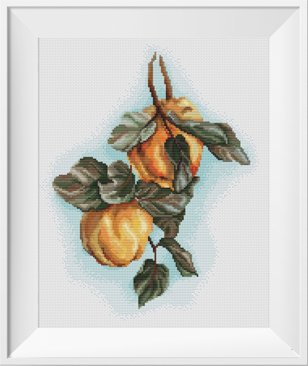 Fragrant Quince Cross Stitch Pattern фото 2