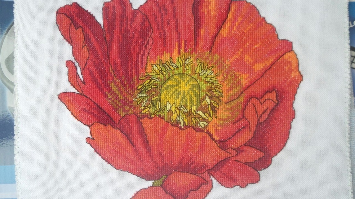 Bright Poppy Cross Stitch Pattern фото 5