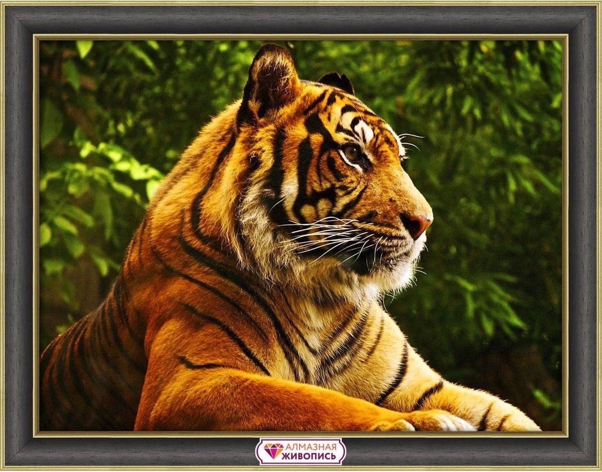 A Golden Tiger Diamond Painting Kit фото 1