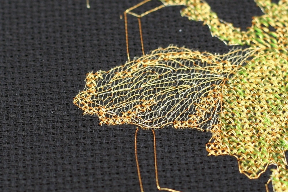 Golden Beetle Cross Stitch Kit фото 4