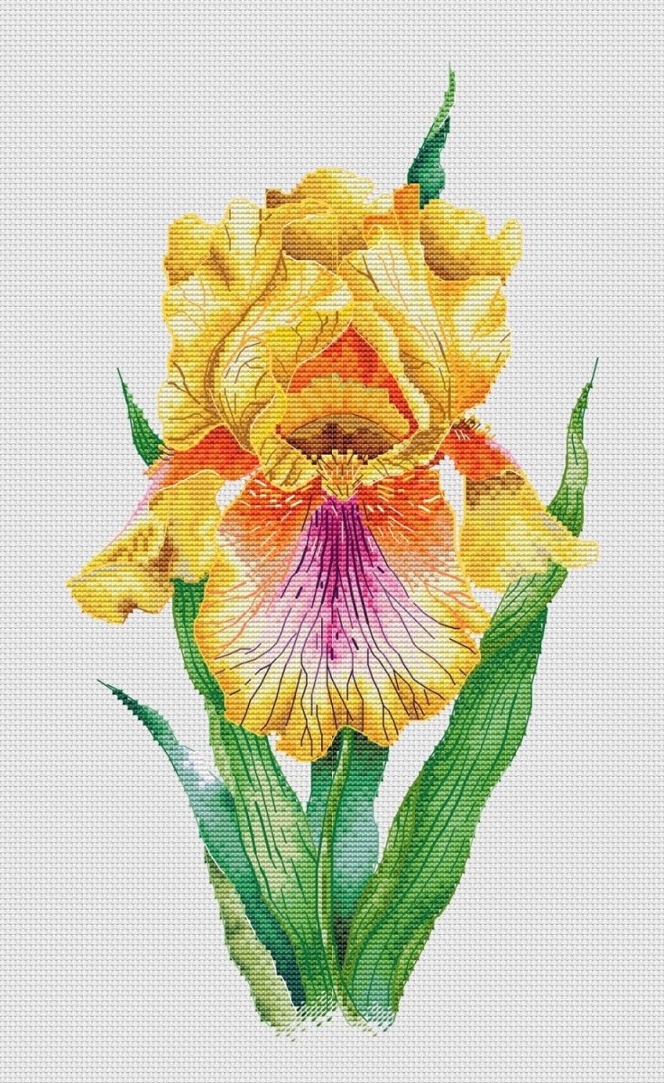 Yellow Iris Cross Stitch Pattern фото 1