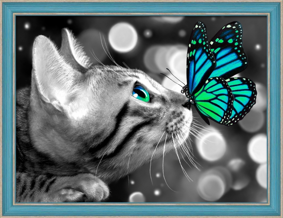 Cat and Butterfly Diamond Painting Kit, code DP-1789 Diamond painting