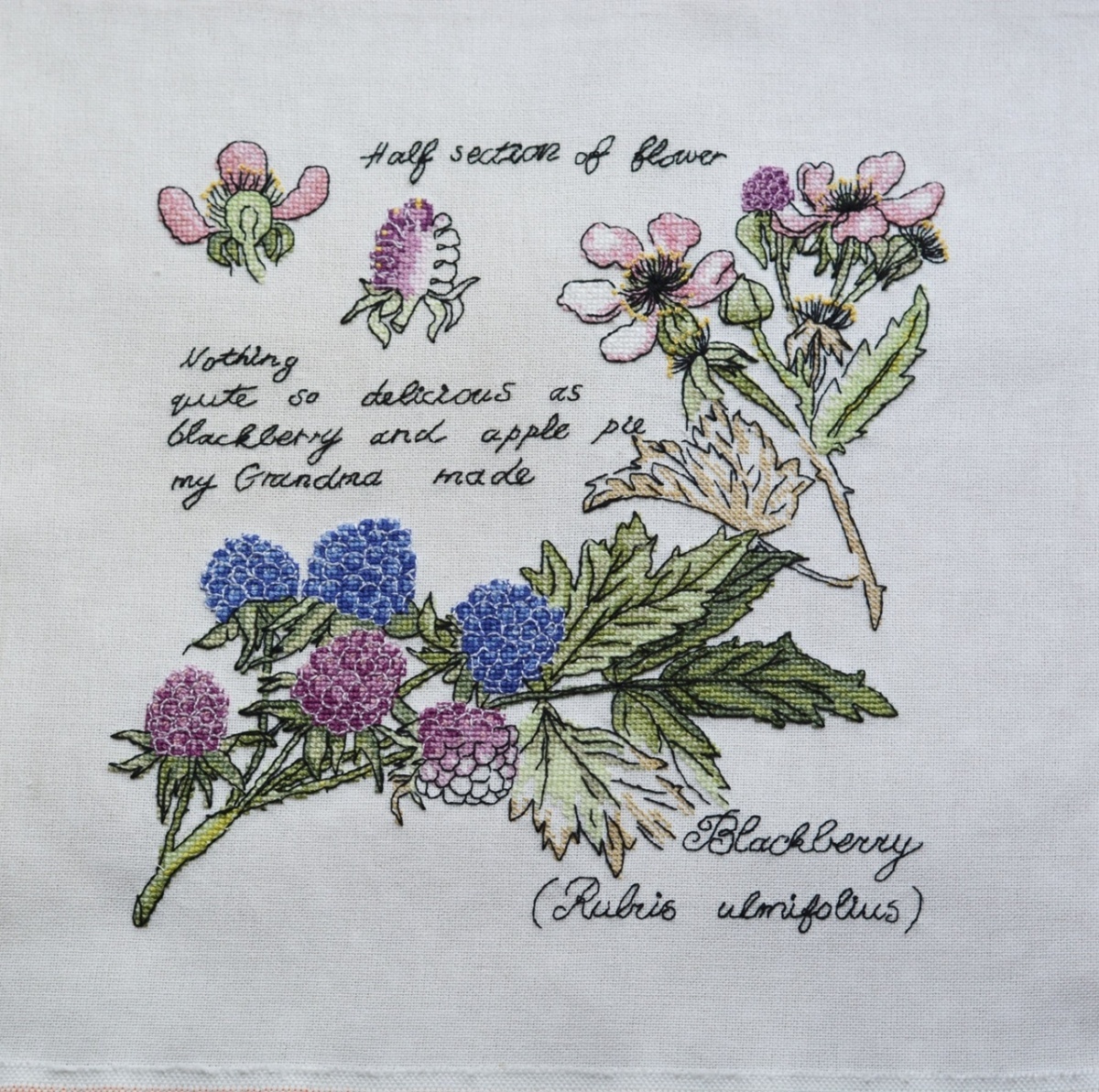 Botany. Blackberry Cross Stitch Pattern фото 4