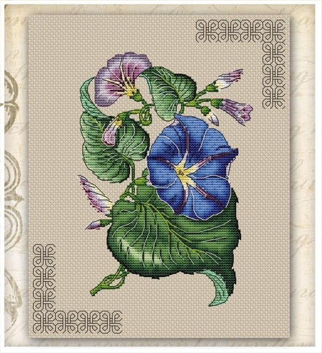 Bindweed Cross Stitch Pattern фото 1