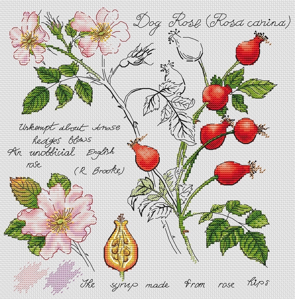 Botany. Rosehip Cross Stitch Pattern фото 1