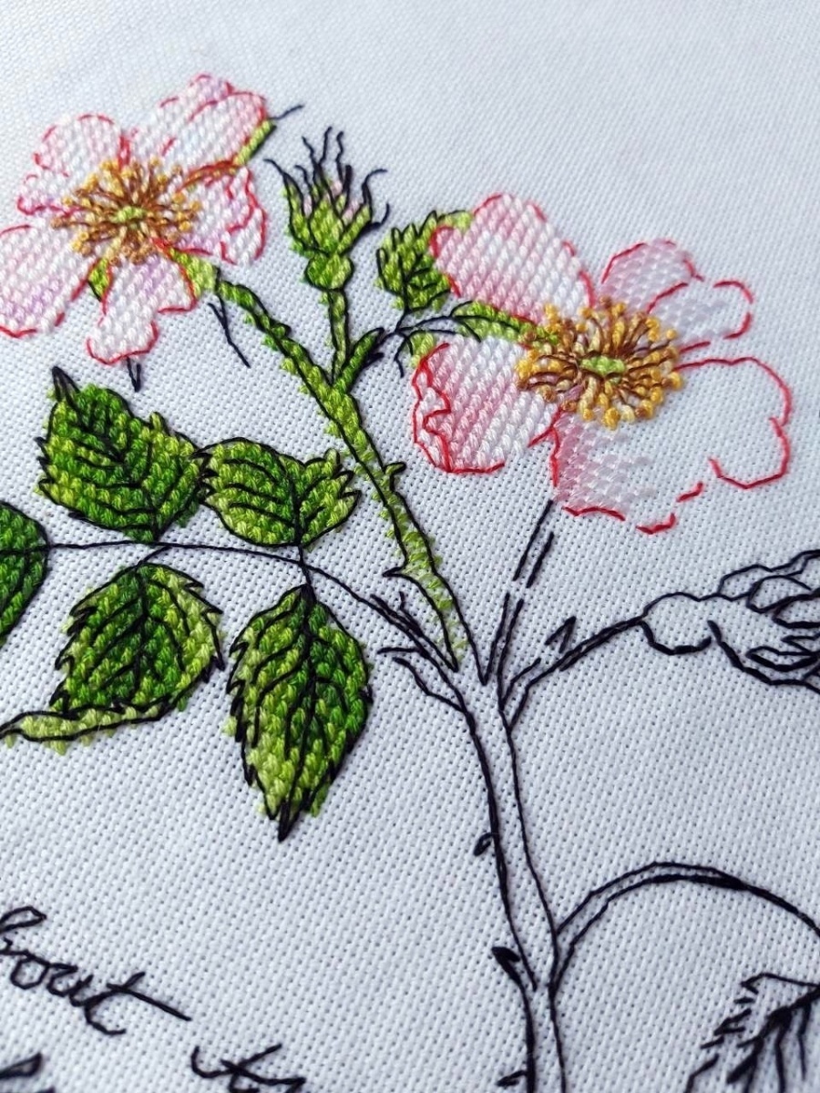 Botany. Rosehip Cross Stitch Pattern фото 6
