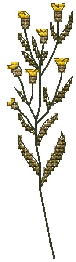 Wildflowers. Hieracium Cross Stitch Pattern фото 1