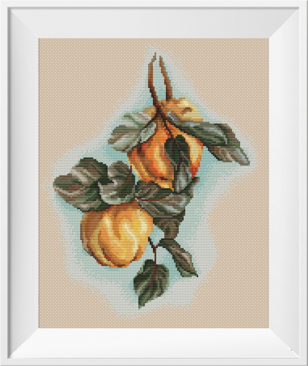 Fragrant Quince Cross Stitch Pattern фото 1