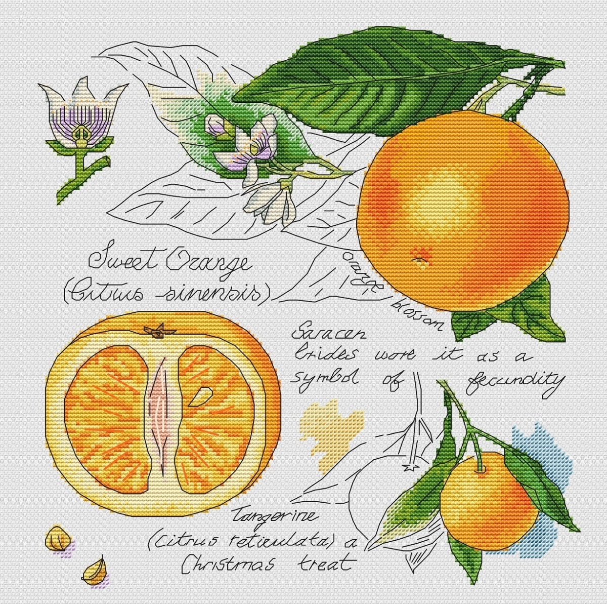 Botany. Orange Cross Stitch Pattern фото 1