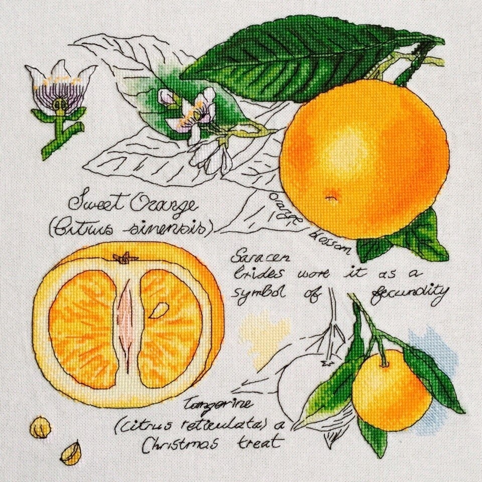 Botany. Orange Cross Stitch Pattern фото 2
