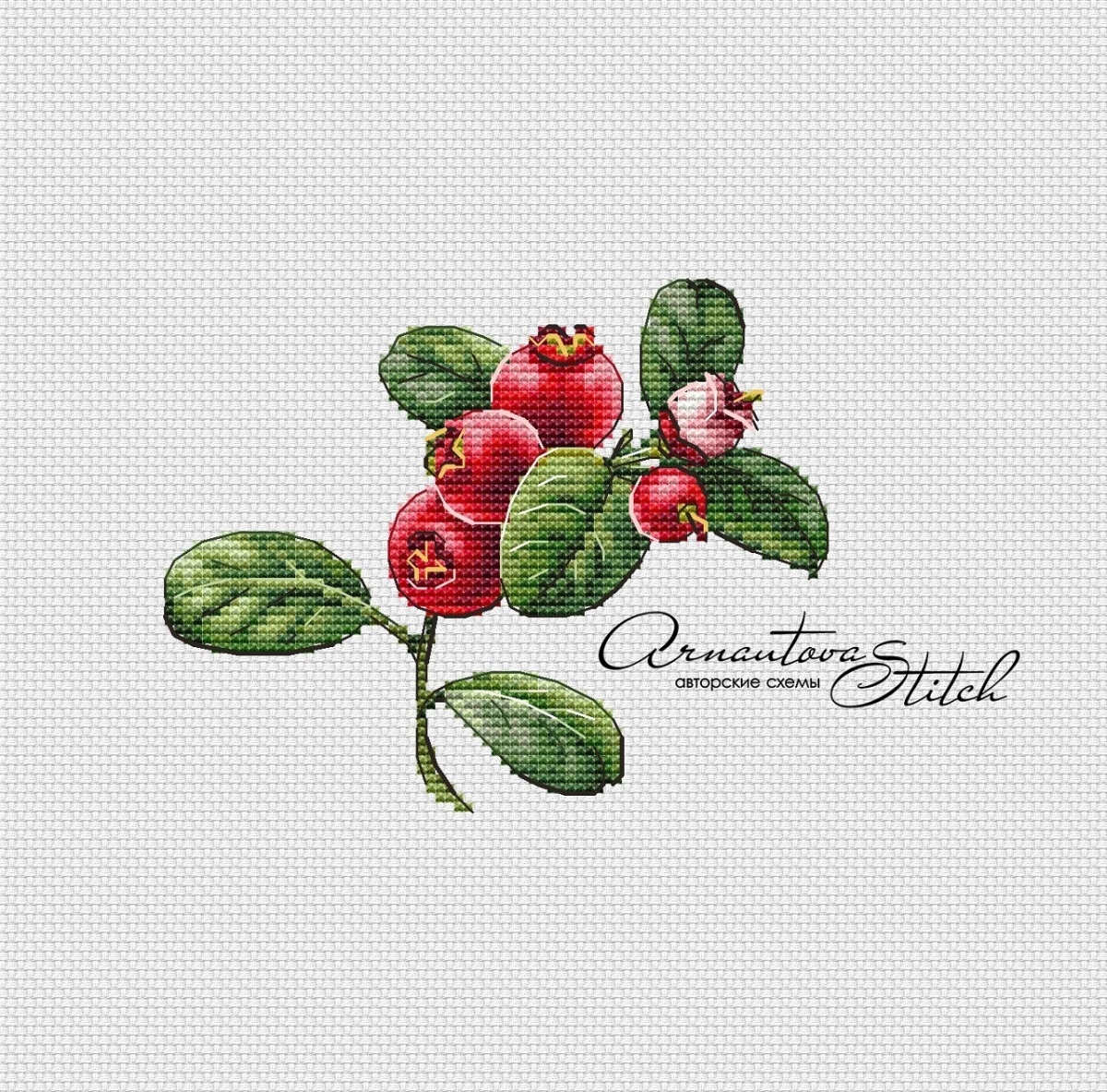 A Sprig of Cranberries Cross Stitch Pattern фото 1