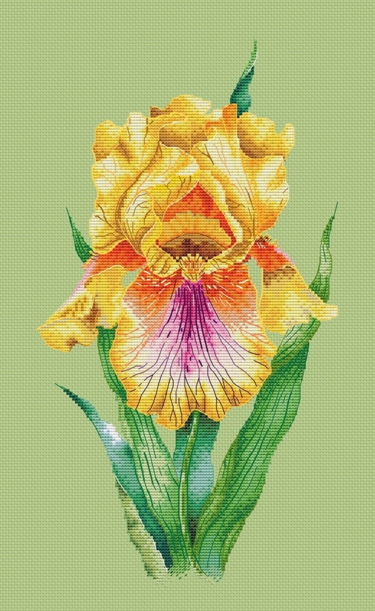 Yellow Iris Cross Stitch Pattern фото 4
