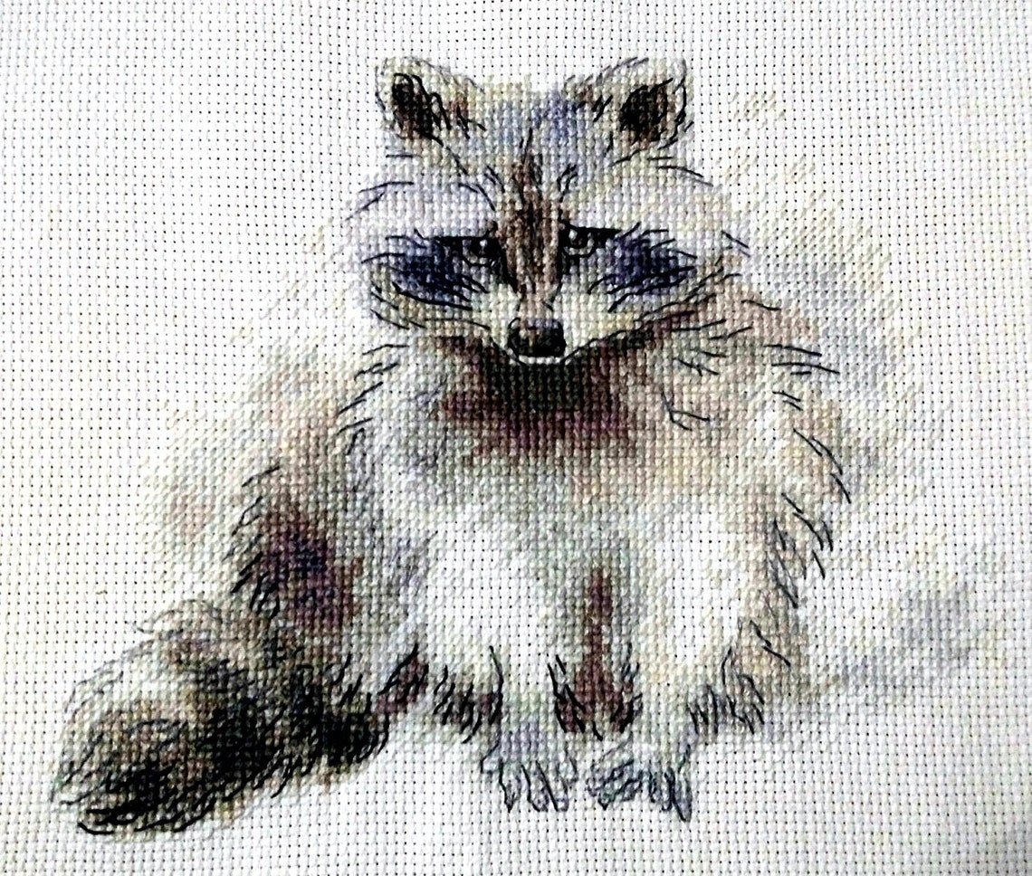 A Raccoon Cross Stitch Chart фото 4