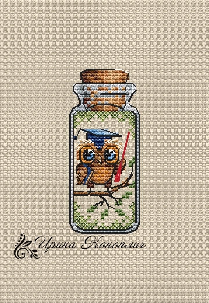 Bottles. Owl Teacher Cross Stitch Pattern фото 1