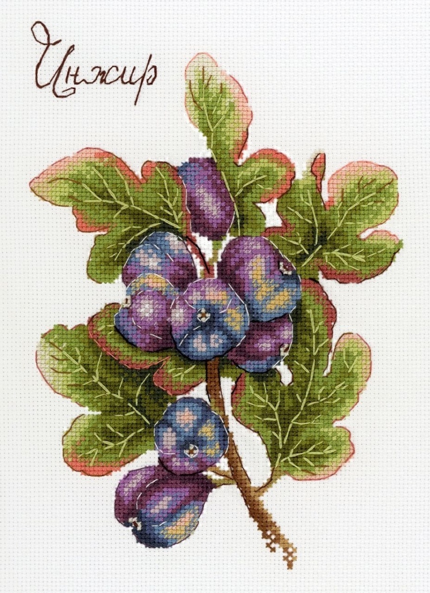 Gifts of nature. Figs Cross Stitch Kit фото 1