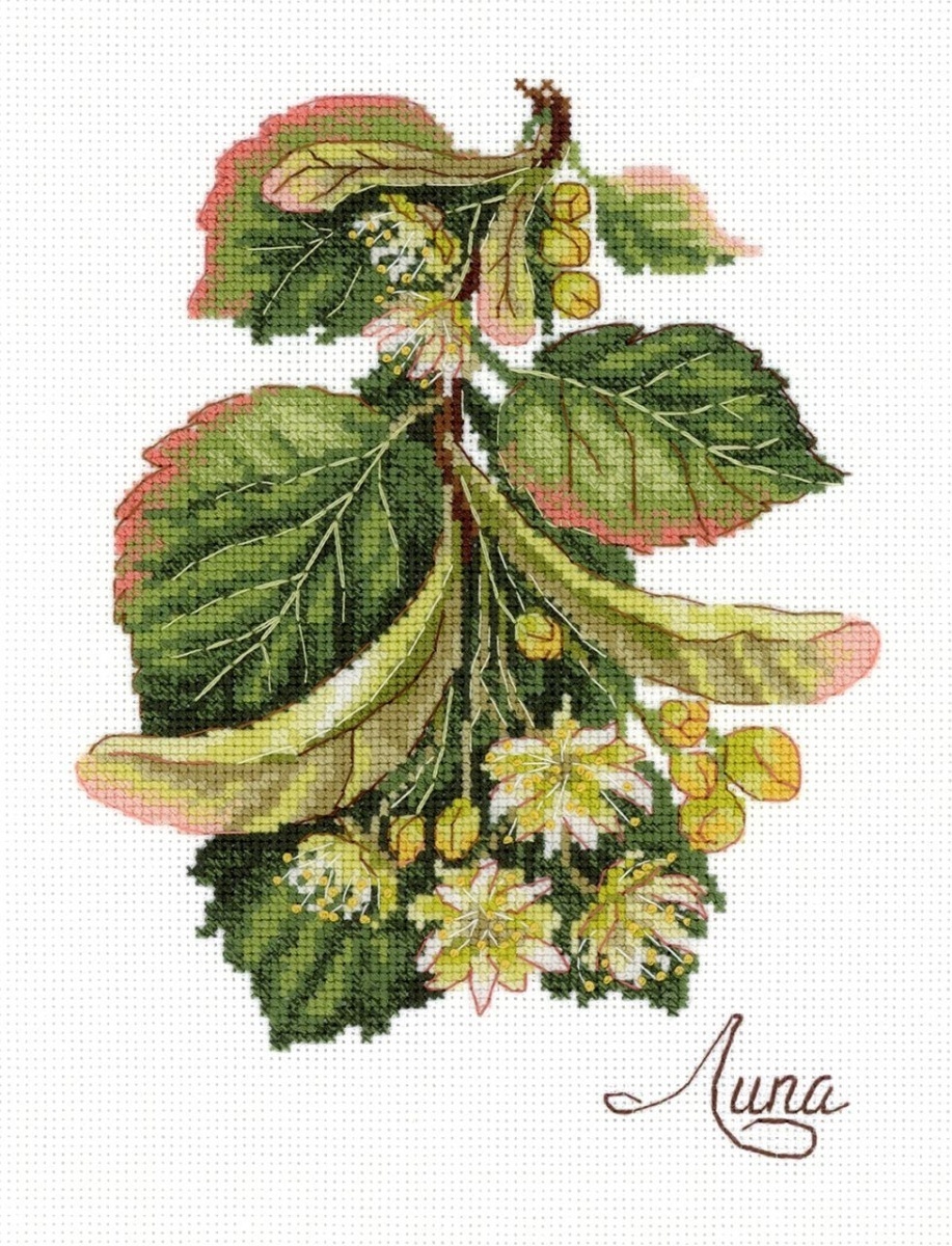 Gifts of Nature. Linden Cross Stitch Kit фото 1