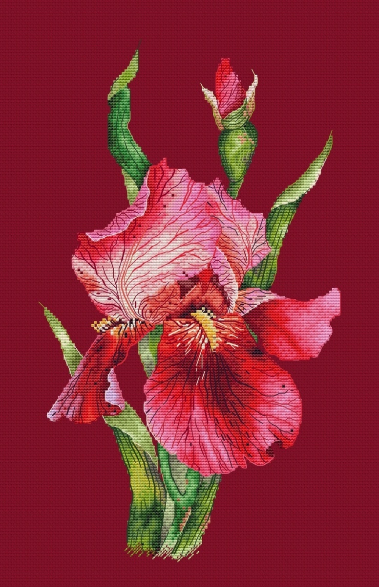 Scarlet Iris Cross Stitch Pattern фото 3