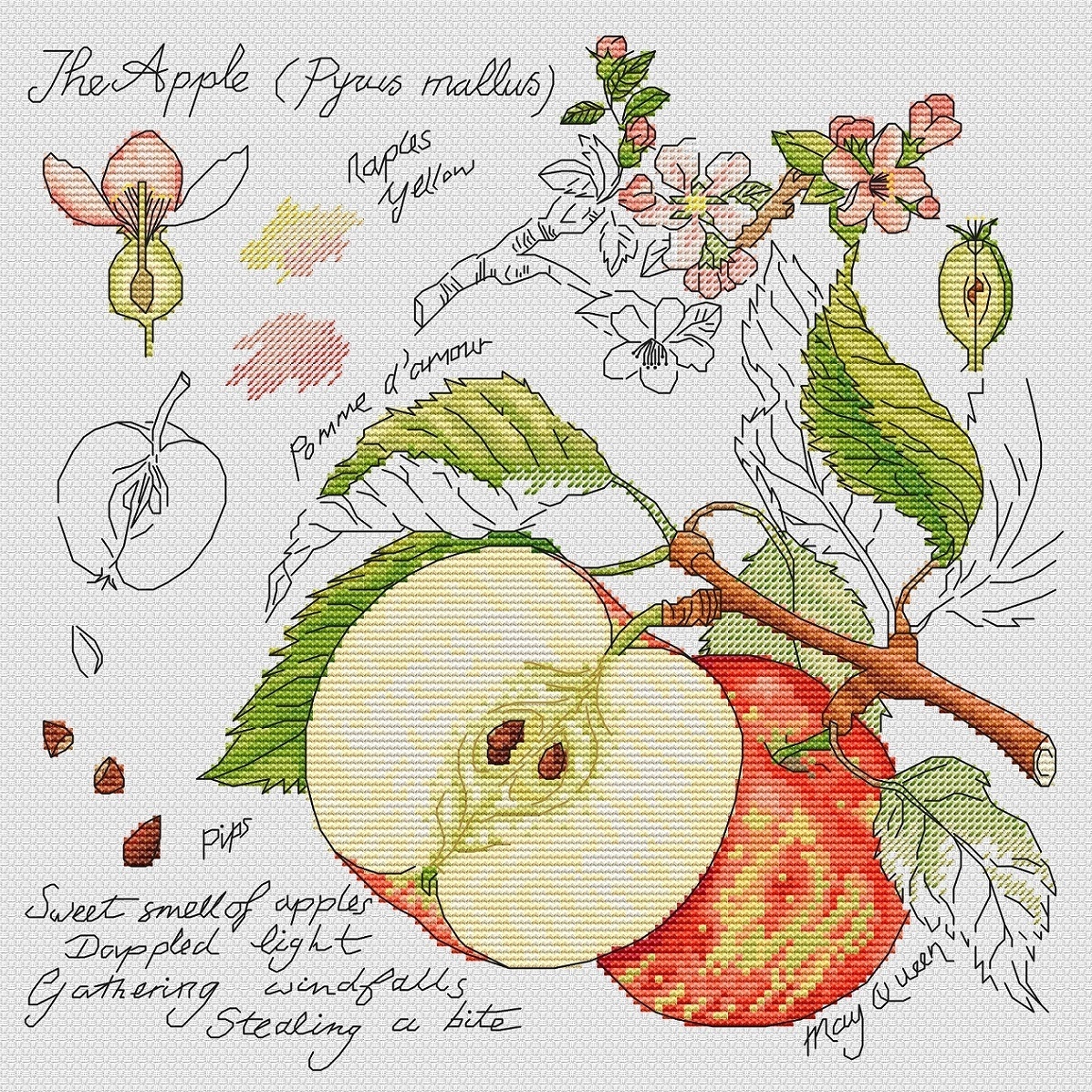 Botany. Apple Cross Stitch Pattern фото 1