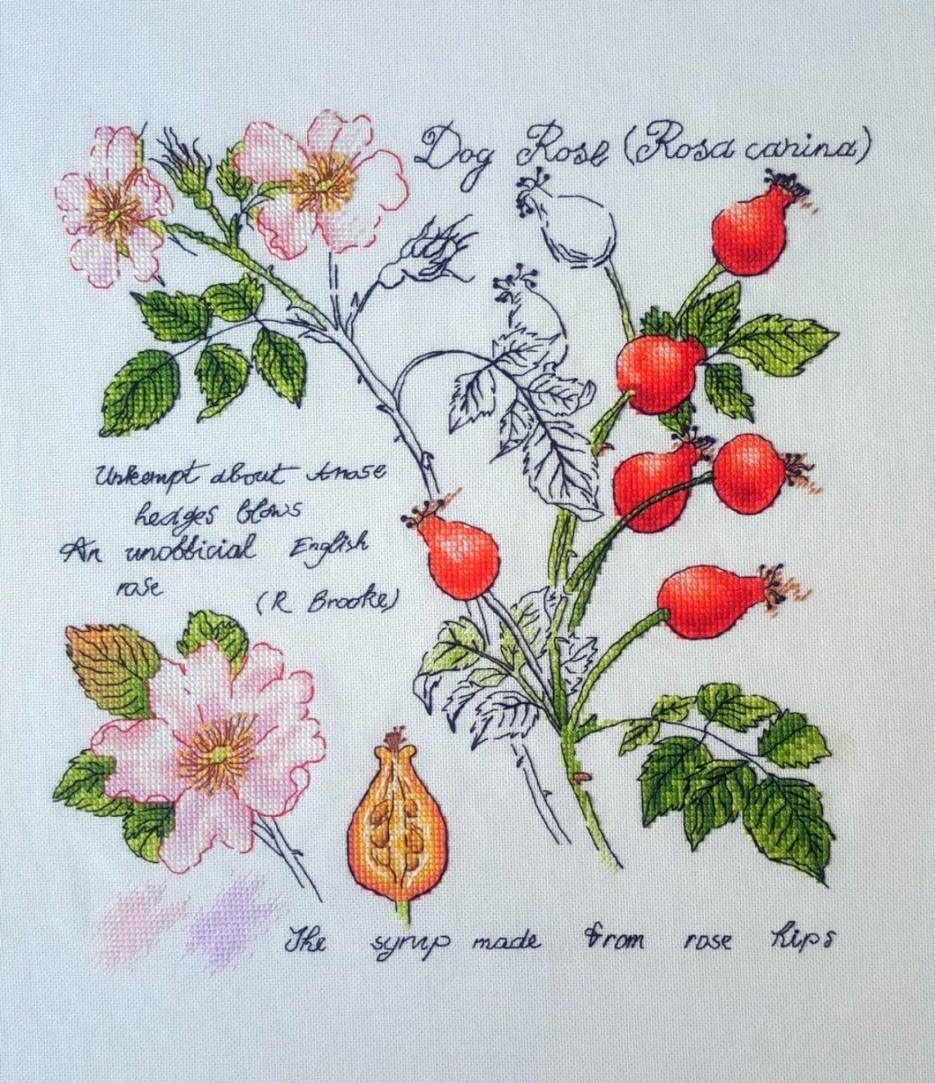 Botany. Rosehip Cross Stitch Pattern фото 2
