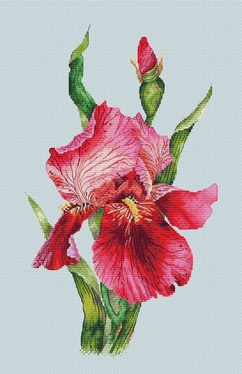 Scarlet Iris Cross Stitch Pattern фото 4