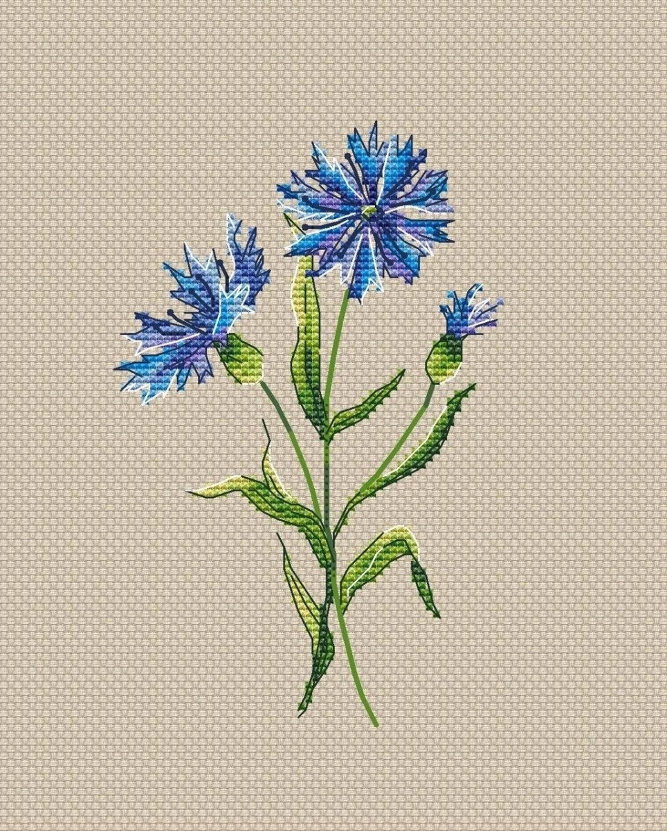 A Cornflower Cross Stitch Pattern фото 1
