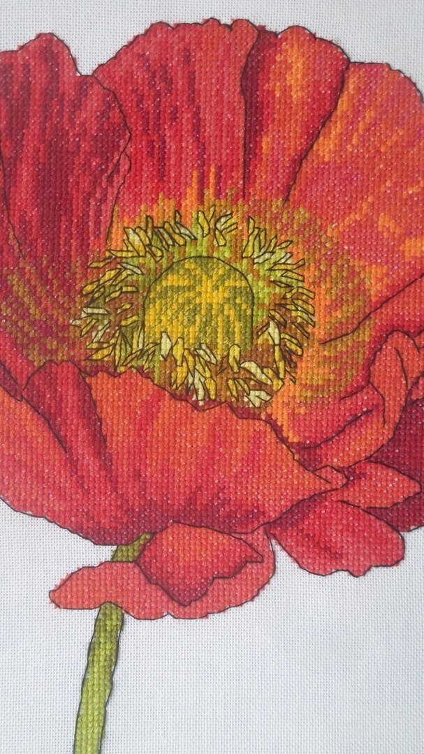 Bright Poppy Cross Stitch Pattern фото 9