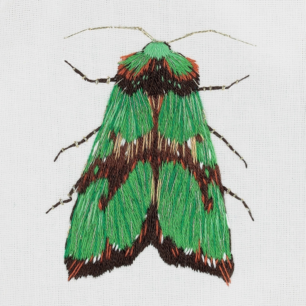Green Moth Embroidery Kit фото 1