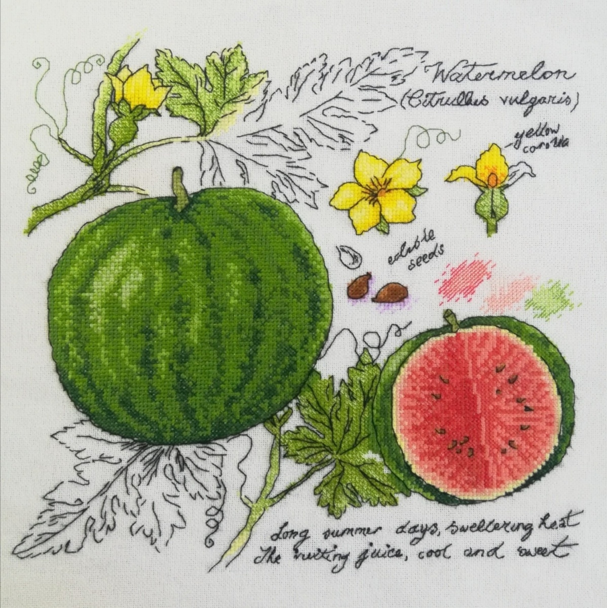 Botany. Watermelon Cross Stitch Pattern фото 2