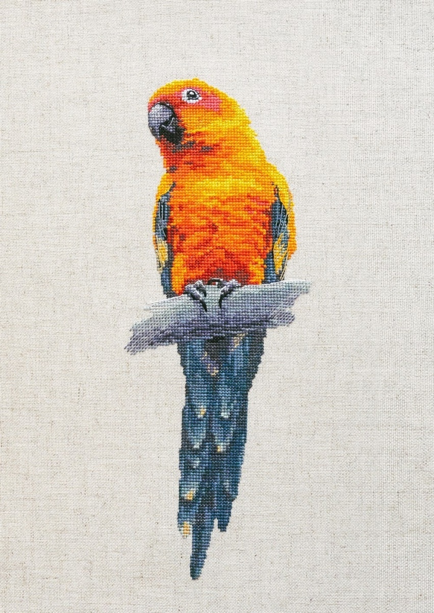 Parrot Cross Stitch Pattern фото 2