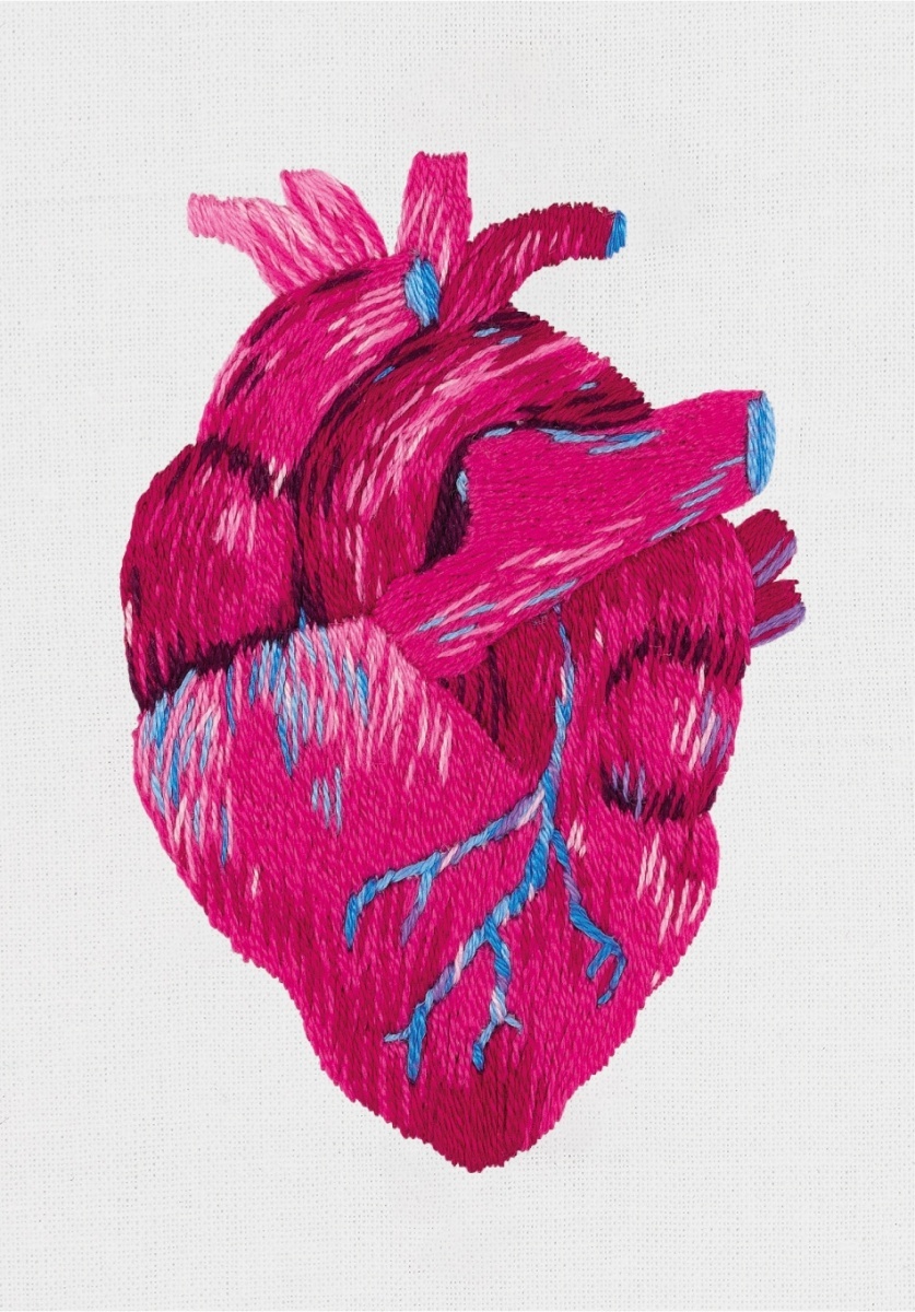 Anatomical Heart Embroidery Kit фото 1
