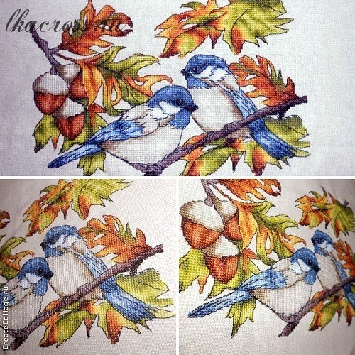 Forest Inhabitants. Hardworking Birds Cross Stitch Pattern фото 2