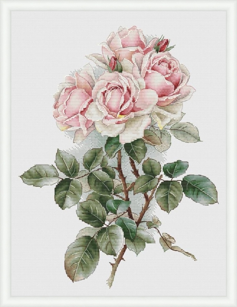 Watercolor Rose Flower Cross Stitch Pattern, code LV-101 Lubov Vodenikova