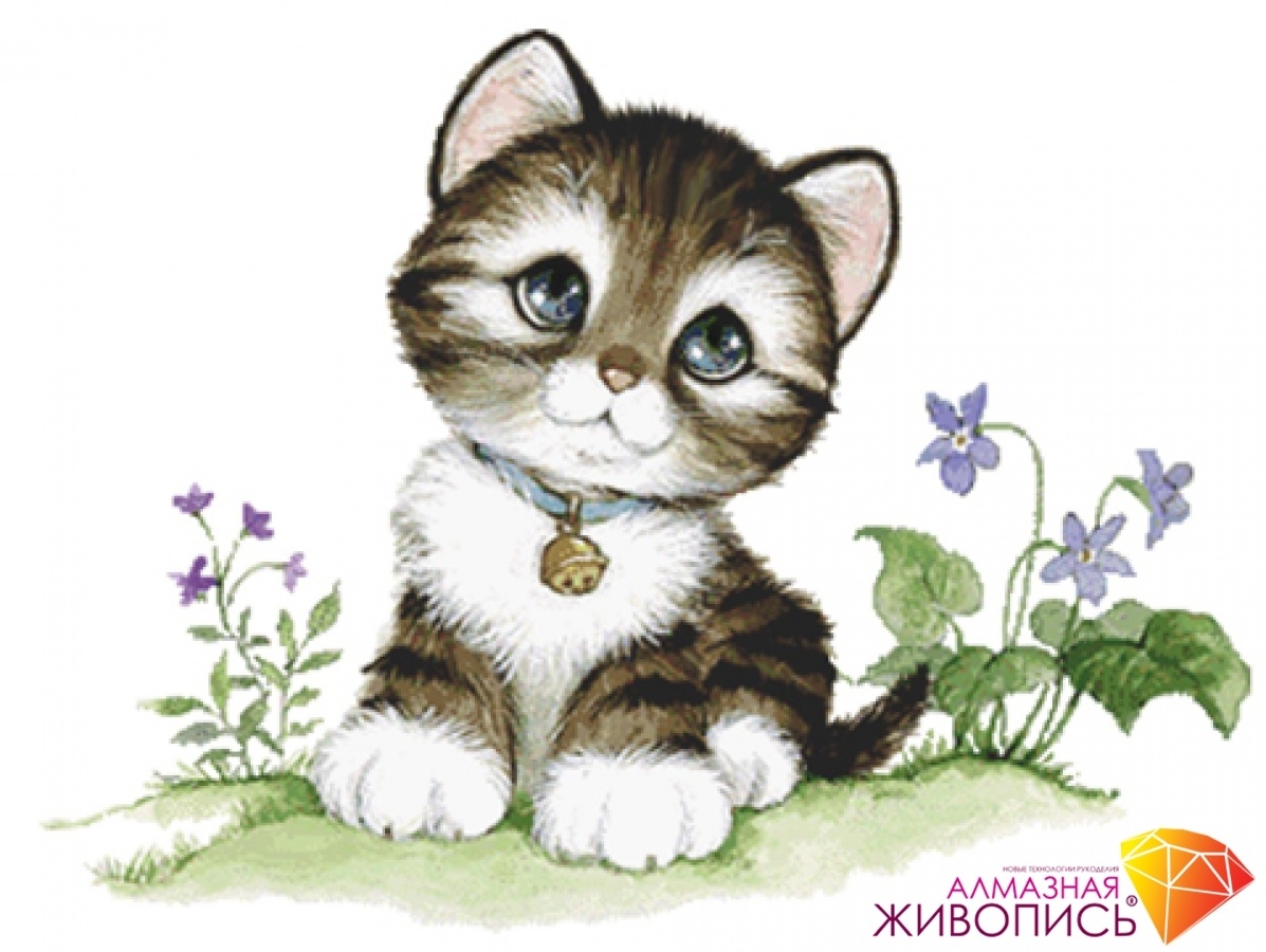 Картинки кошек для детей цветные красивые