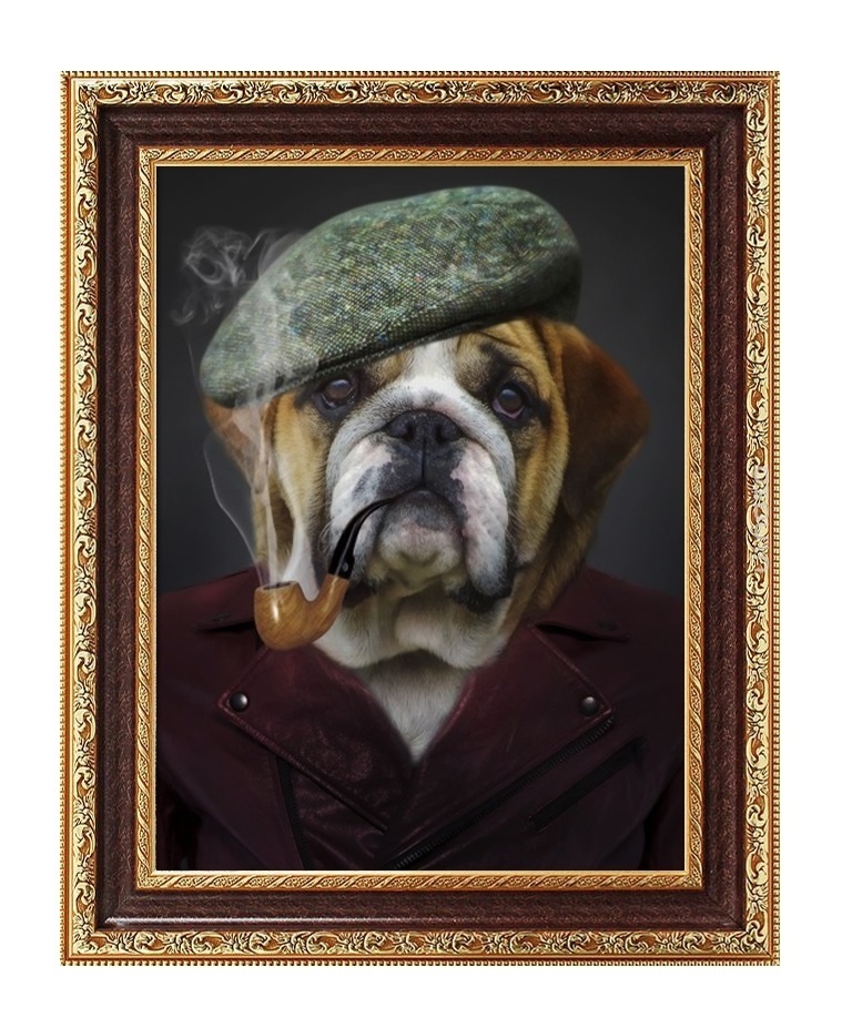 Bulldog Detective Diamond Painting Kit, code DP-1717 Diamond painting ...