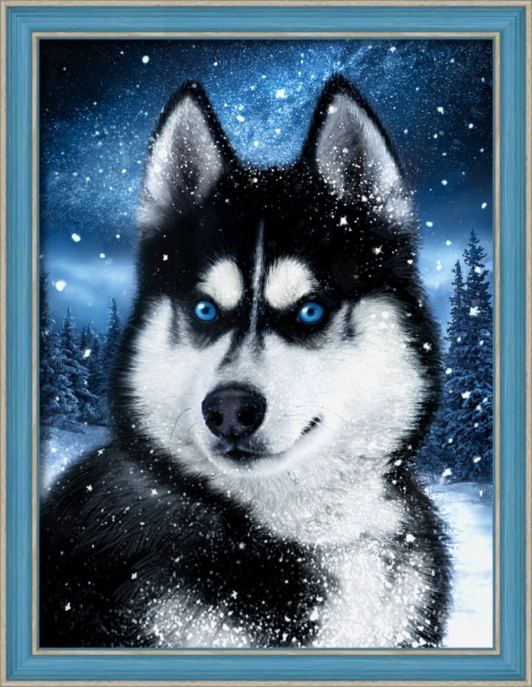 Diamond Painting - Dog in the Snow – Figured'Art