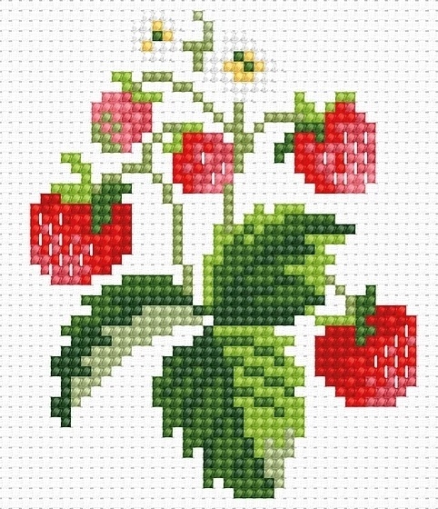 My First Embroidery. Strawberry Cross Stitch Kit, code B015 Luca-S