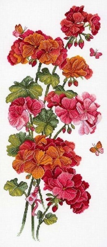 Geranium Flowers Cross Stitch Kit, code NV-742 MP Studia | Buy online ...