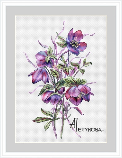 Hellebore Cross Stitch Pattern, code AP-030 Anna Petunova | Buy online ...